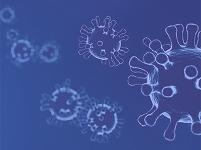 SFZ muss wieder schließen